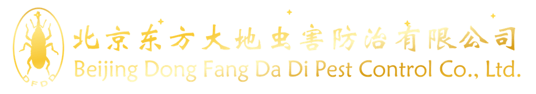 东方大地